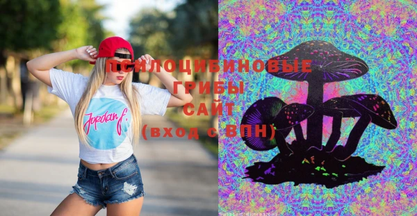 mix Алексин